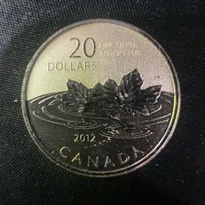 2012 Canada $20 .9999 Fine Silver Coin, 9g