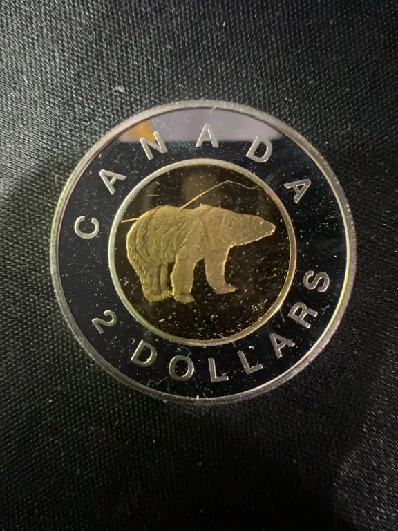 2001 Canada $2 Coin .9999 Fine Silver With 24K Gold Plated Core