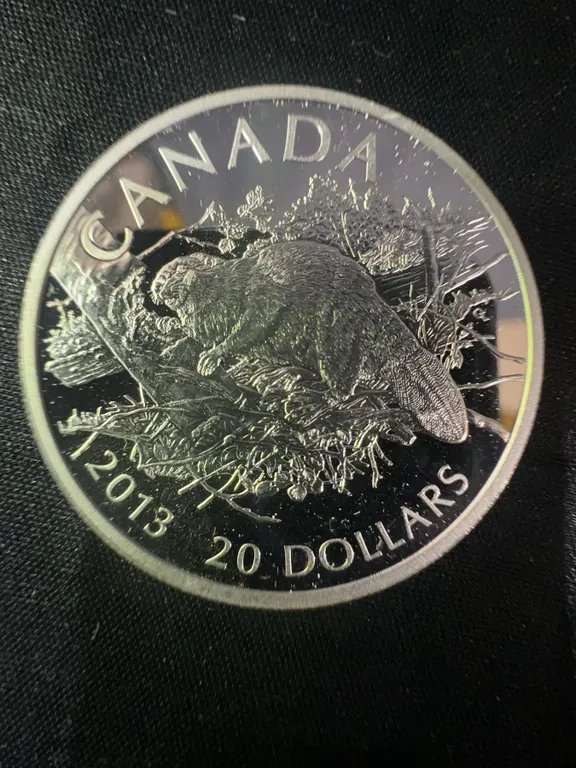 2013 Canadian $20 .9999 Fine Silver Coin, 32g, Beaver Design