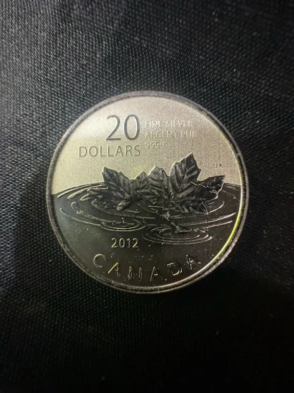 2012 Canada $20 Fine Silver Coin .9999, 9g