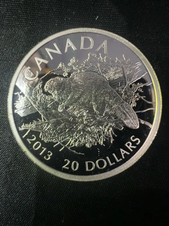 2013 Canadian $20 .9999 Fine Silver Coin, 32g, Beaver Design