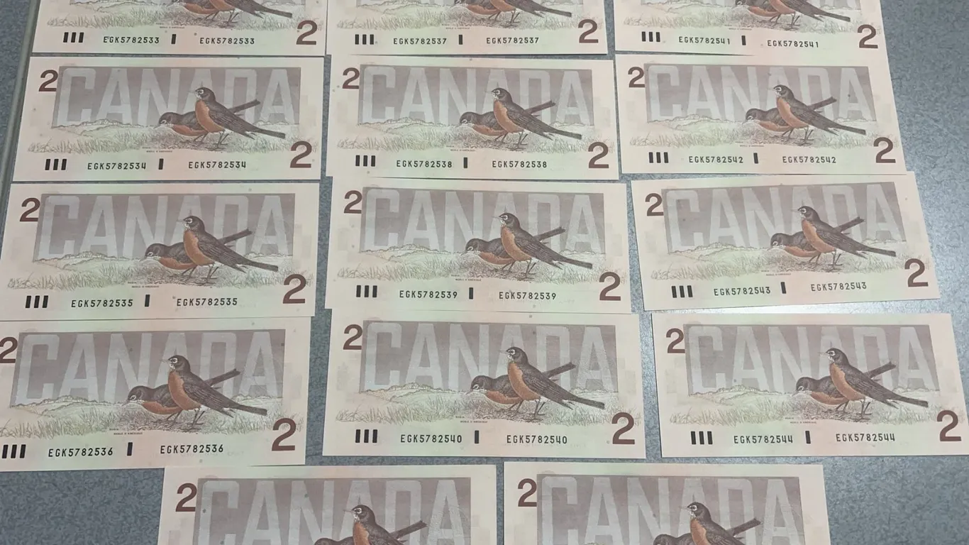 14 Sequential Canadian $2 Banknotes Bank of Canada Birds Series