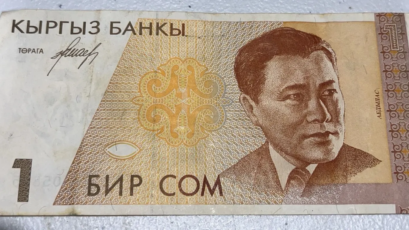 Kyrgyzstan 1 Som Banknote AE4105845