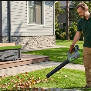 20V Cordless Leaf Blower with Lithium-Ion