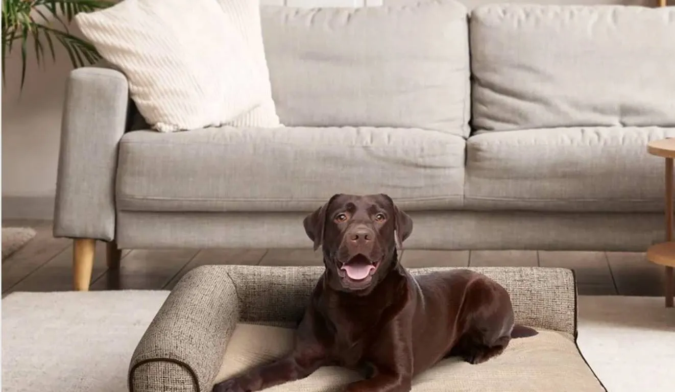 Kirkland Signature Bolster Pet Bed