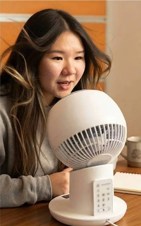 WOOZOO Globe Fan White