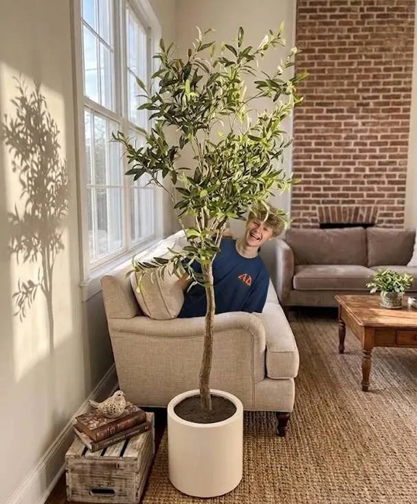 Artificial Potted Olive Tree Decor, 2m