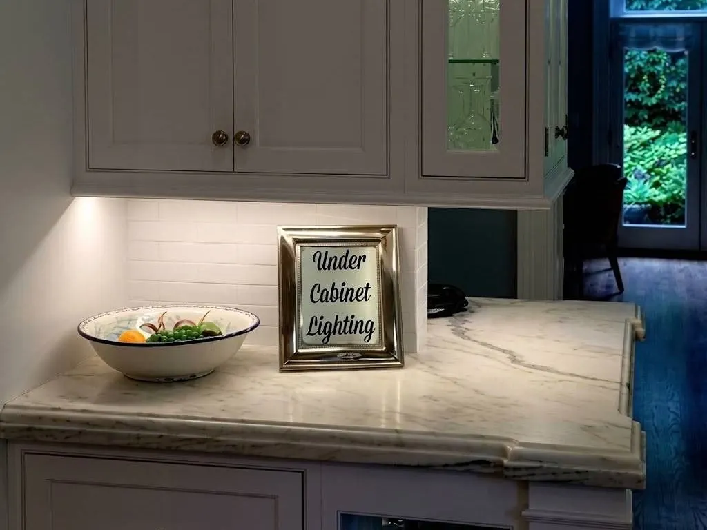 24 in. Plug-In Hardwired LED Light Fixture