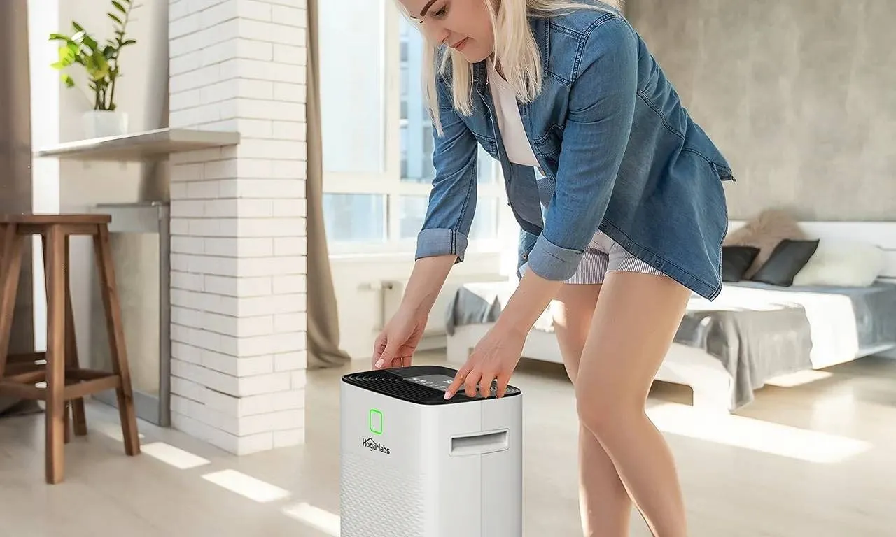 Hogarlabs PD08G-20 Dehumidifier