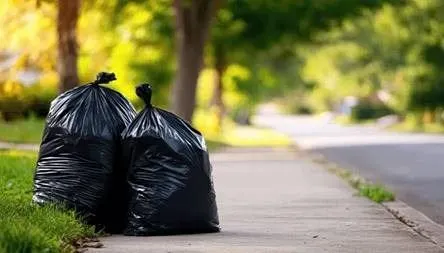 Maximum 42x48 Inch Clear Garbage Bags 100ct