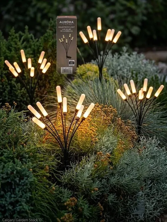 Aurora Solar Firefly Light Pack of 4
