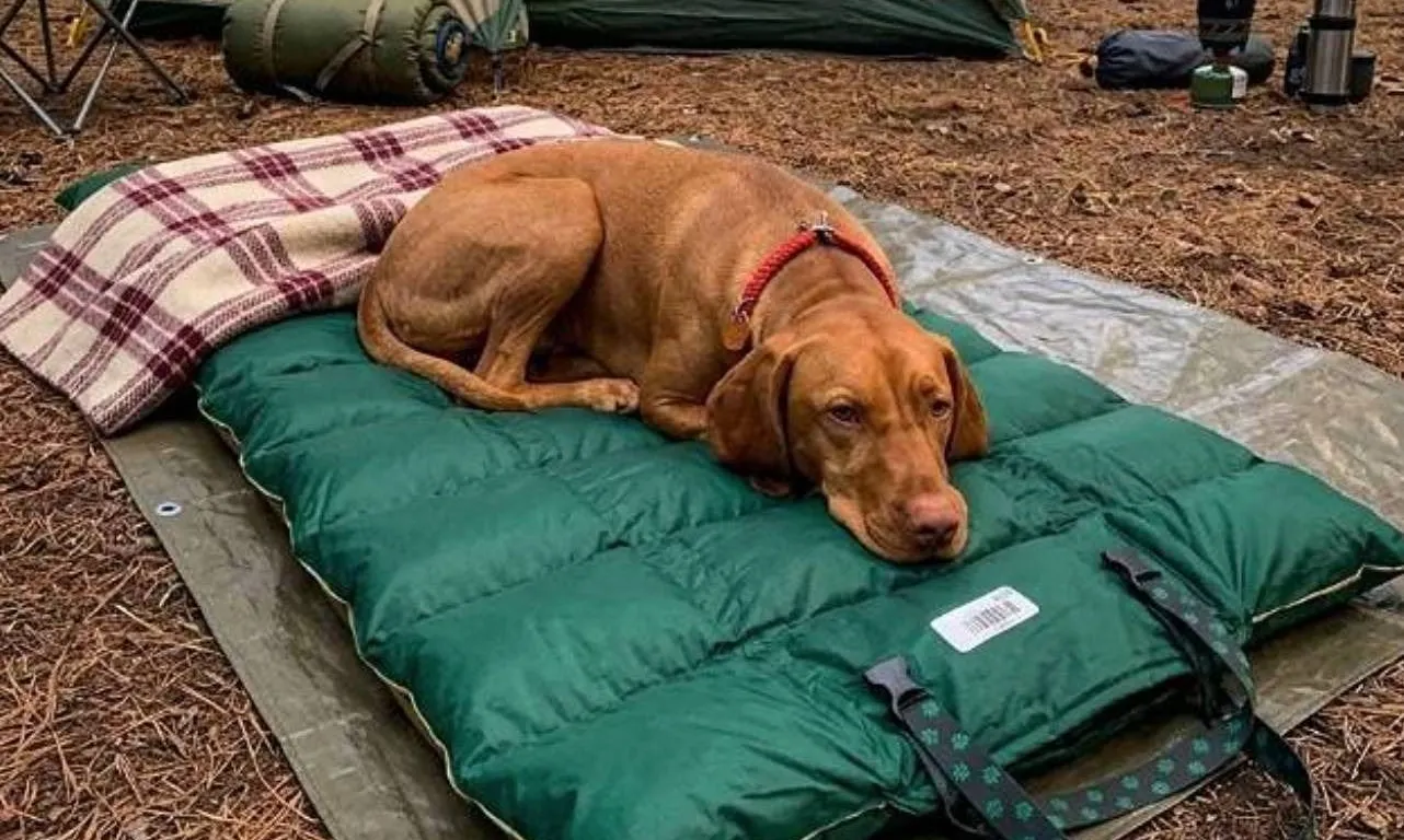 Green Camping Sleeping Bag with Stuff Sack