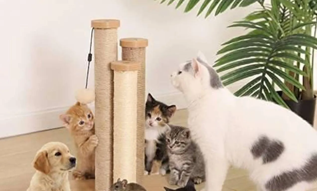 Amazon Basics Cat Triple Scratching Post Beige