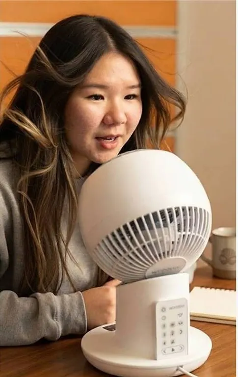 Woozoo Globe Fan by Iris Ohyama