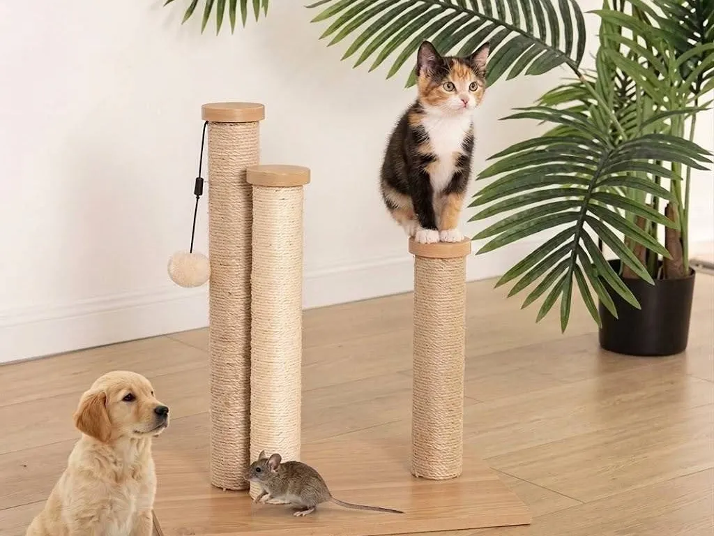 Amazon Basics Triple Cat Scratching Post