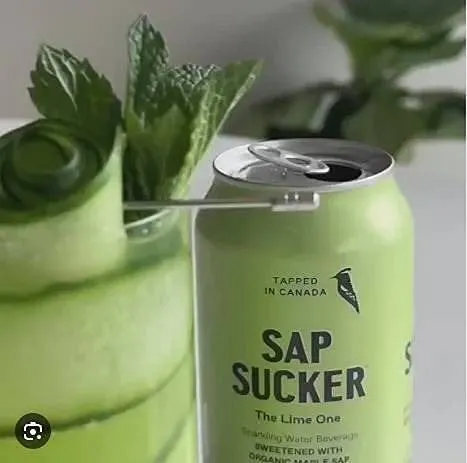 Sapsucker The Lime One 12 x 355ml Cans