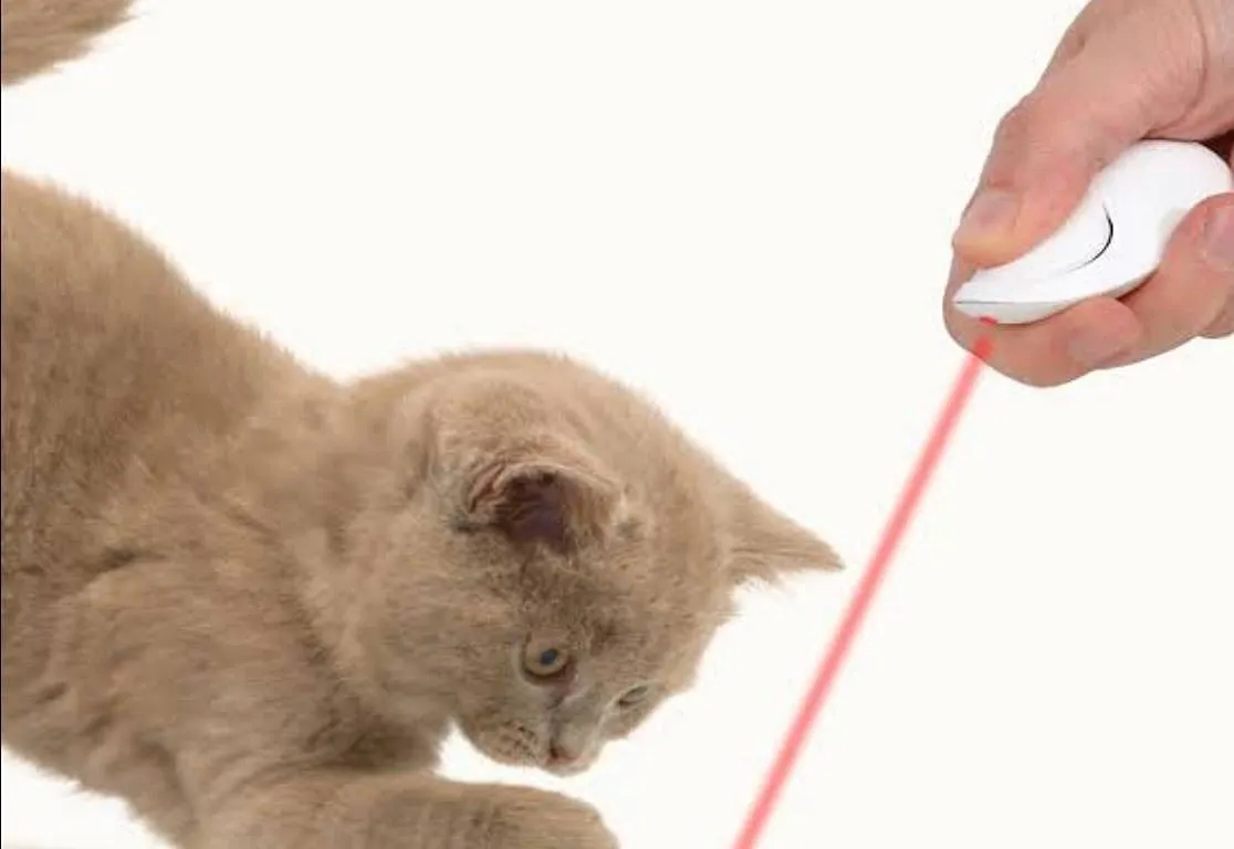 Catit Laser Toy for Cats, 2-Pack