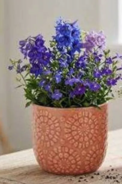 Stone & Beam Floral Embossed Planter Small