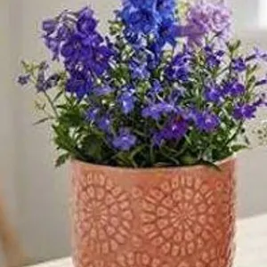 Stone & Beam Floral Embossed Planter Small