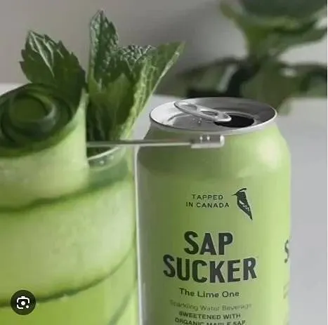 Sapsucker Lime Sparkling Water 12-Pack
