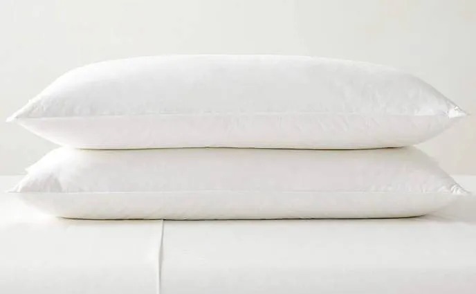 Calvin Klein Queen Grand Pillow 2-Pack