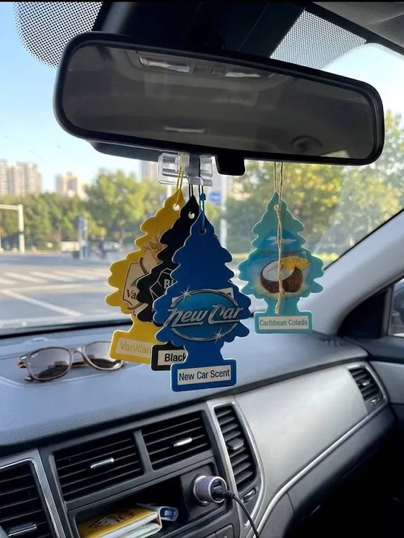 12 Little Trees Car Air Fresheners