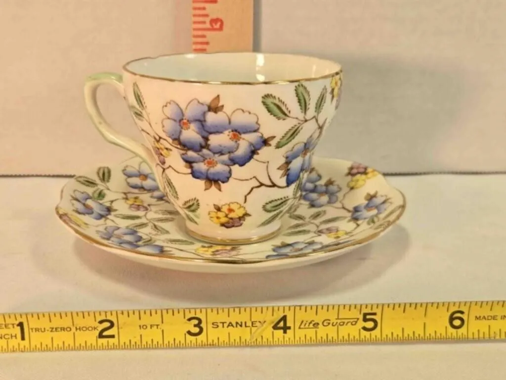 China cup & saucer, Springdale pattern
