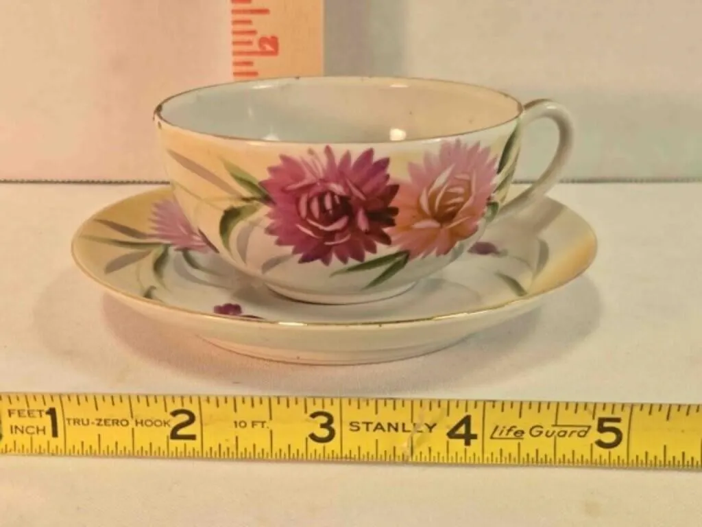 China teacup & saucer, Nippon hand painted
