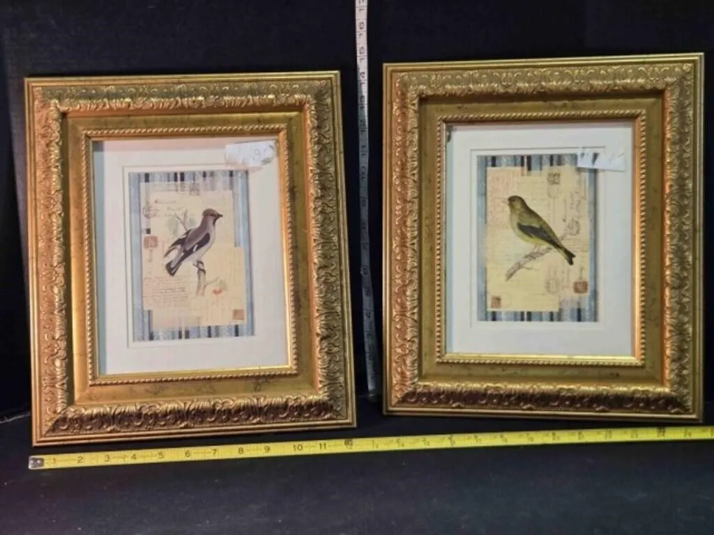 2 Mixed Media matted bird illustrations