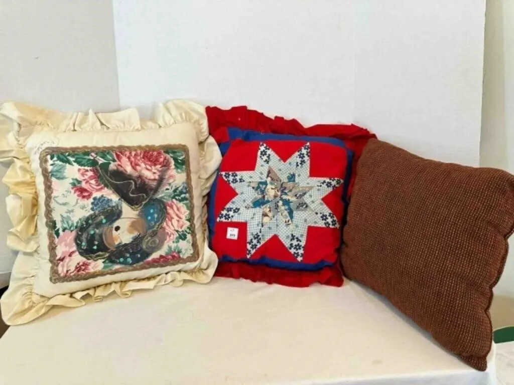 3 Pillows, 1 quilted front, 1 hand painted & signe