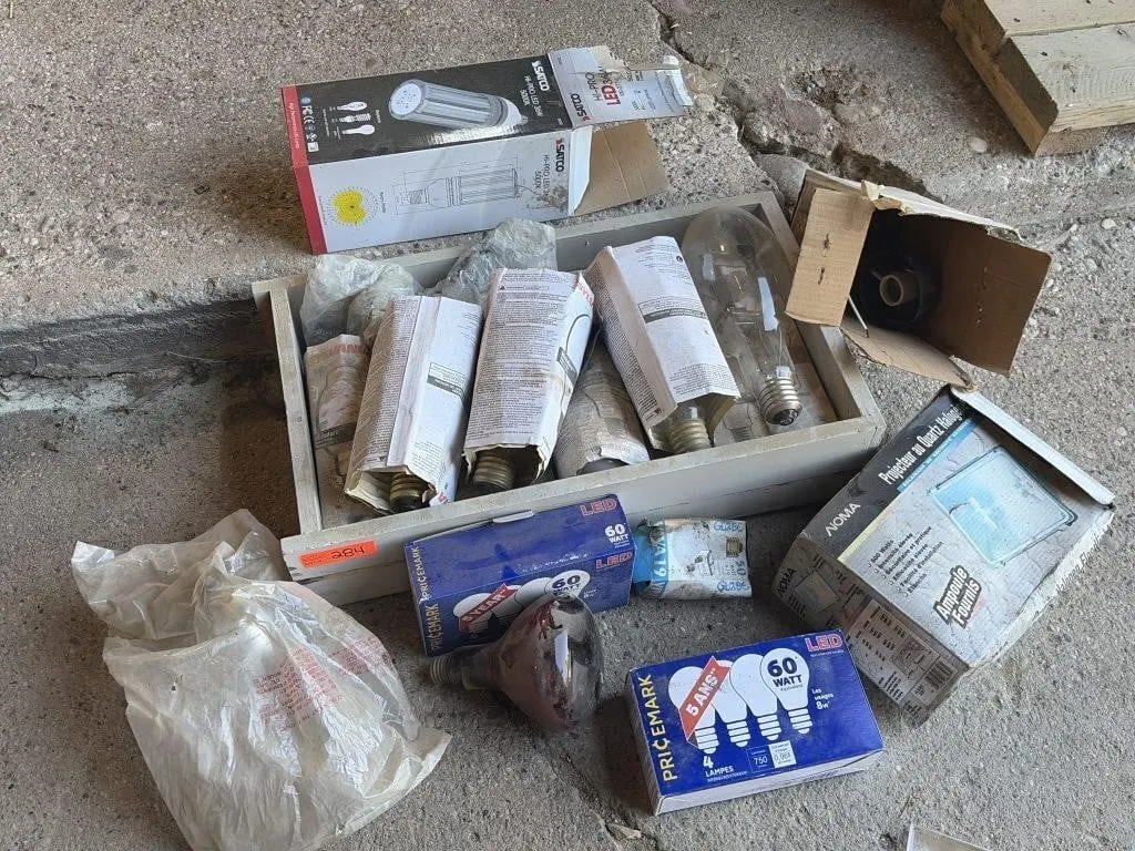Various Light Bulbs
