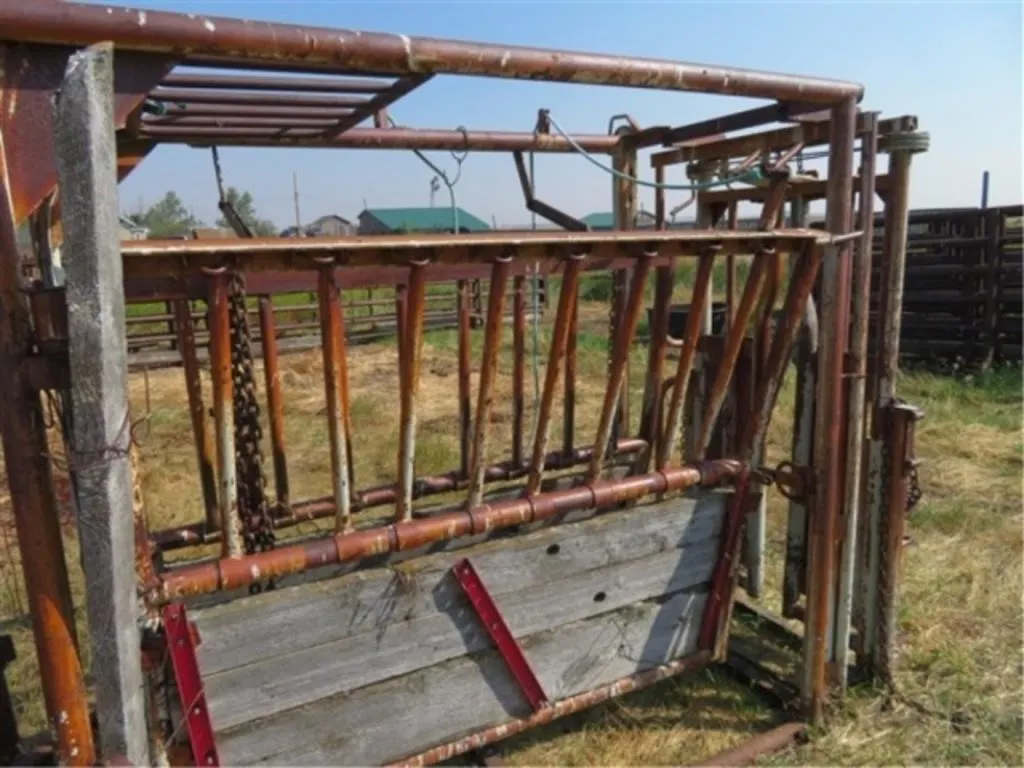WW Cattle Squeeze w/auto headgate