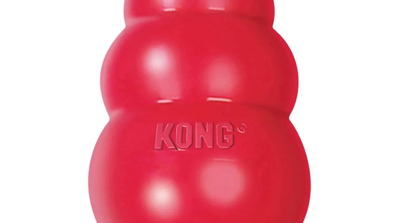 Kong B0002AR15U Classic Dog Toy Small Red
