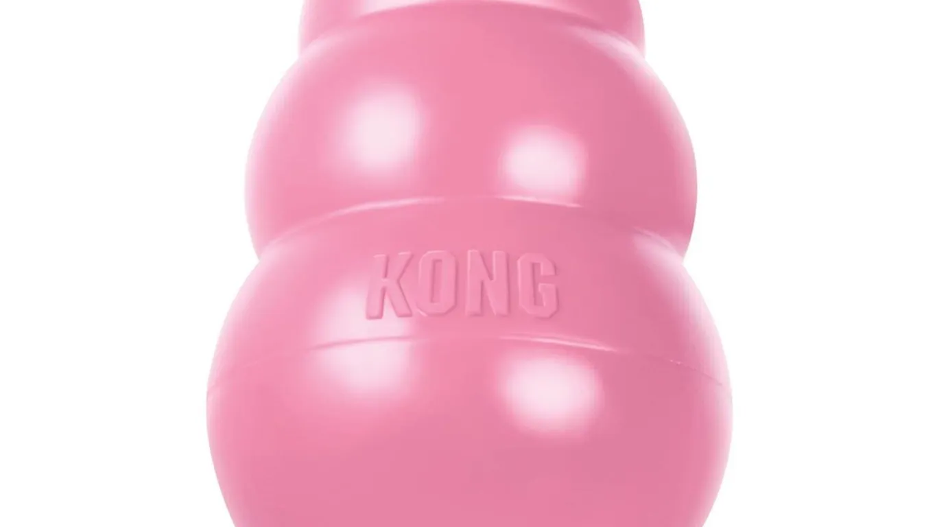 Kong Puppy Toy Natural Teething Rubber Small Pink