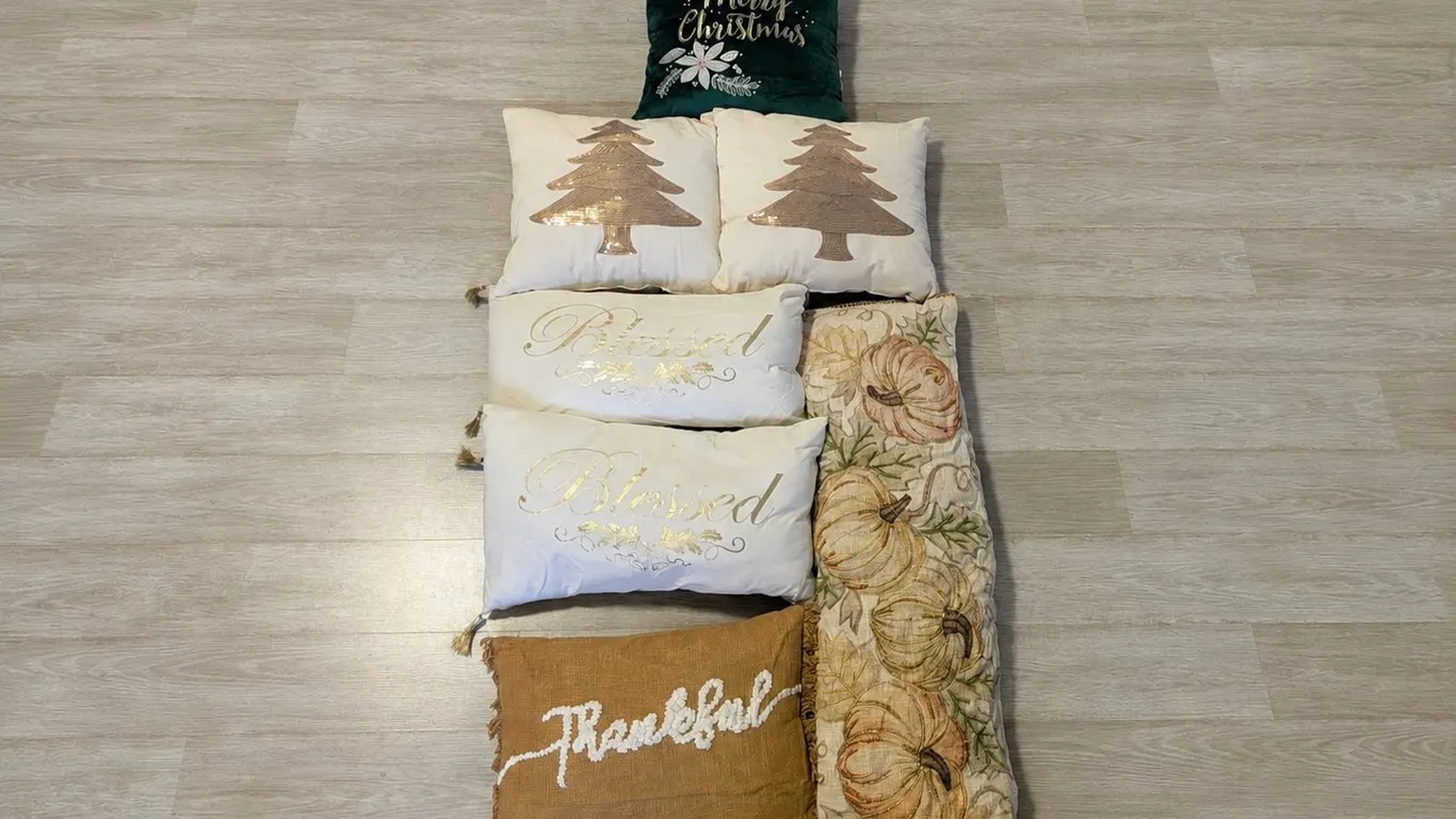 Holiday Themed Decorative Pillows Lot