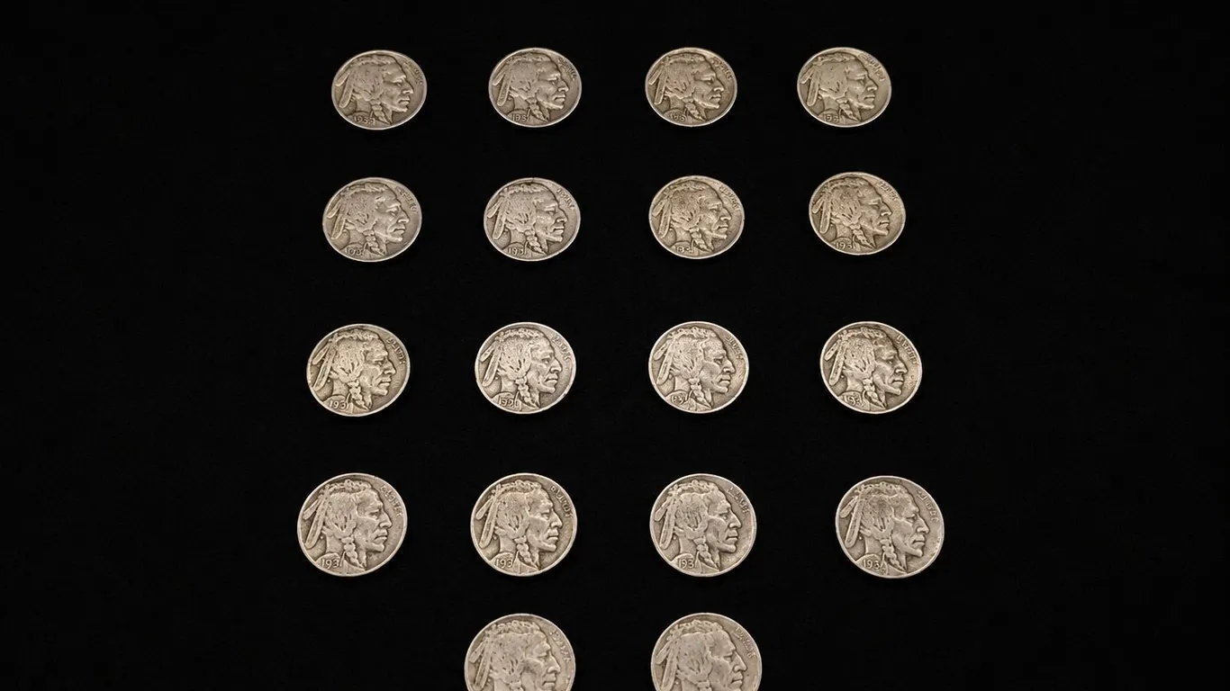 Assorted Lot of Buffalo Nickels
