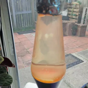 Vintage Orange Lava Lamp