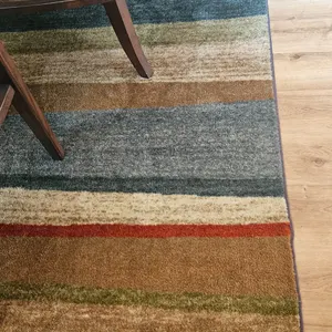 Contemporary Multi-Color Striped Area Rug