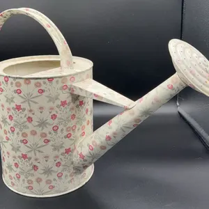 Large Decorative Watering Can
