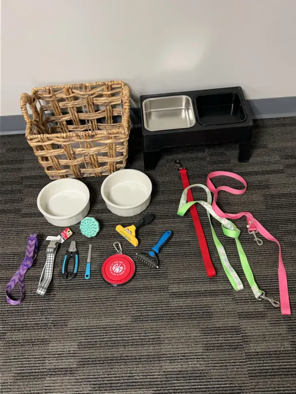 Comprehensive Dog Care Bundle with Assorted Collars, Leashes, Bowls, Grooming Tools, and Storage Bas