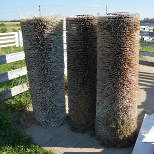 Cattle Scratchers