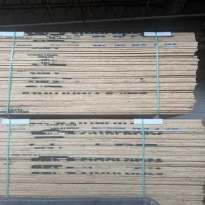(50) Sheets of 4' x 8' Plywood