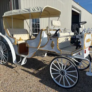 60V ELECTRIC CARRIAGE