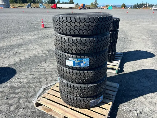 Quantity of (6) Roadlux 225/70R19.5 Tires (Unused)