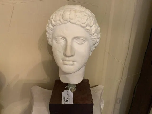 CLASSIC GREEK OR ROMAN HEAD SCULPTURE- MOUNTED