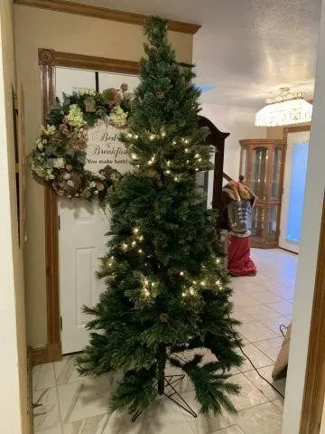GROUP: LARGE LIGHTED CHRISTMAS TREE WITH PINE