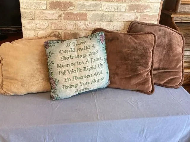2 BAGS: ASSORTED THROW PILLOWS & DINING CHAIR