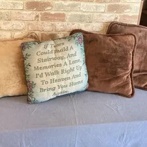 2 BAGS: ASSORTED THROW PILLOWS & DINING CHAIR