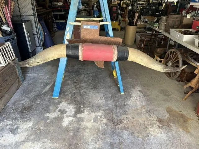 VINTAGE SET OF HORNS MOUNTED ON A TEXAS-SHAPED