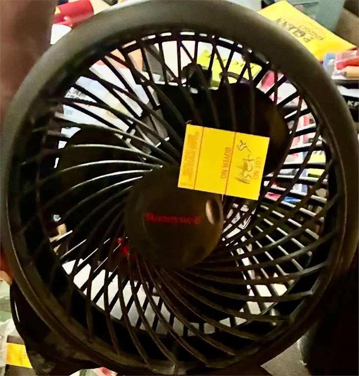 Fan